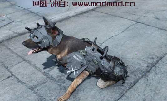 Dogmeat Minutemen Armor