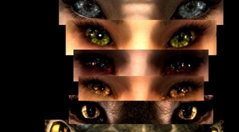 上古卷轴5：重置版MOD 充满活力的眼睛