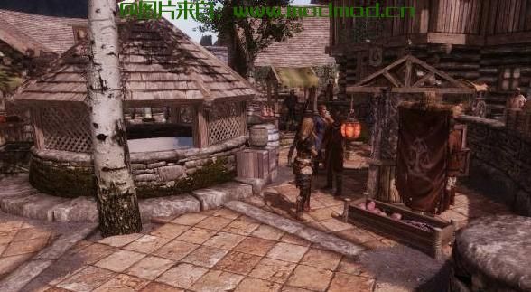 上古卷轴5：天际MOD 晨光之城系列－－Dawn of Riften 裂谷城的破曉 v1.1：小偷版裂谷城