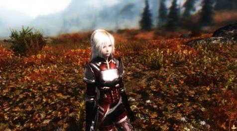 上古卷轴5：天际MOD ★妹风★ 【独立随从】 少女骑士安琪莉V1.4