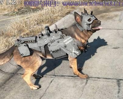 辐射4MOD Dogmeat Minutemen Armor