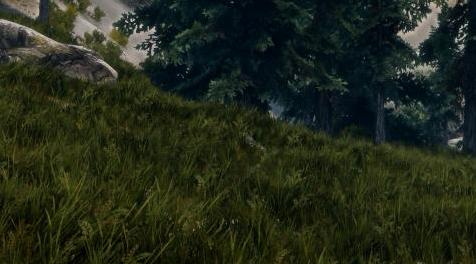 上古卷轴5：重置版MOD 来自Infinition的天际草（测试）