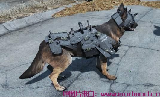 Dogmeat Minutemen Armor