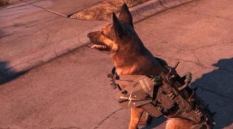 辐射4MOD Dogmeat Minutemen Armor