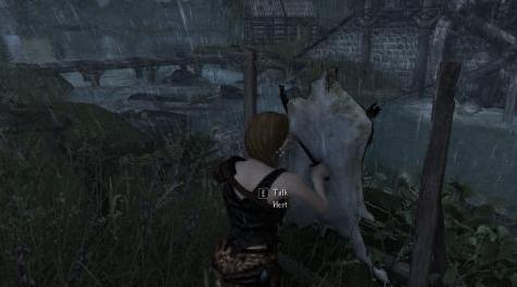 上古卷轴5：重置版MOD Pandorable的NPCs Dawnguard SE  - 盐和风纹理