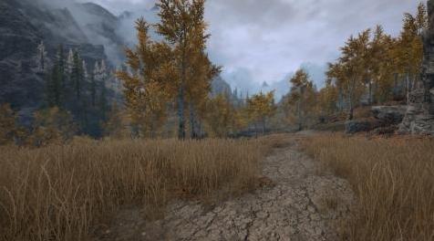 上古卷轴5：重置版MOD 苍翠的森林草