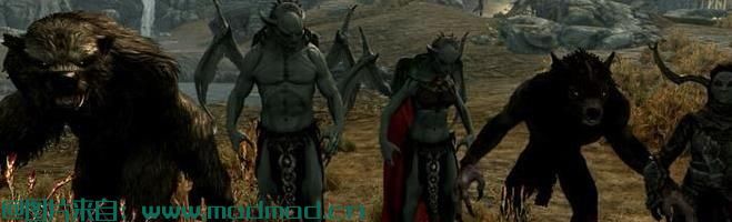 【汉化】【随从功能完善MOD】AFT——神奇的随从调整，系统强大，功能丰富，稳定安全 