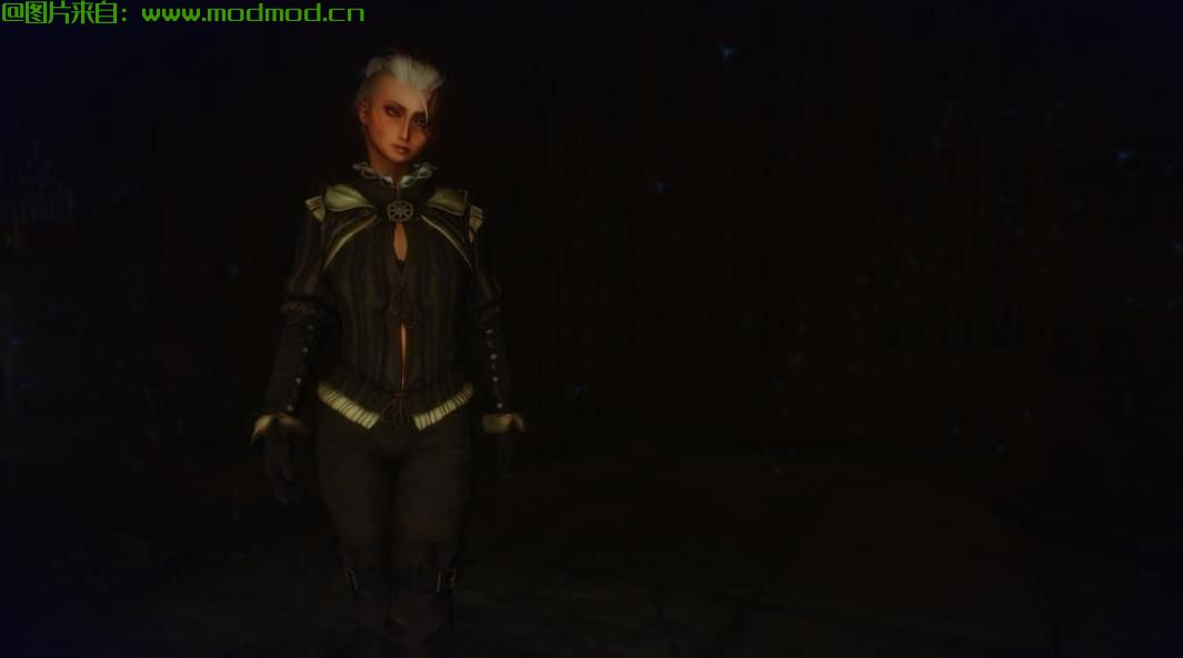 Ziljay的Nilfgaard 盔甲 - HDT CBBE Bodyslide转换