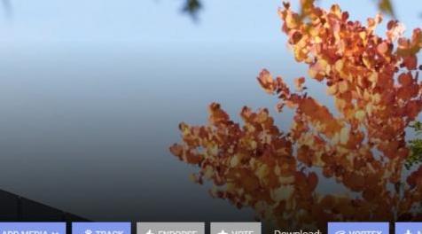 上古卷轴5：重置版MOD 用于猫咪的hdt皮肤网状配置