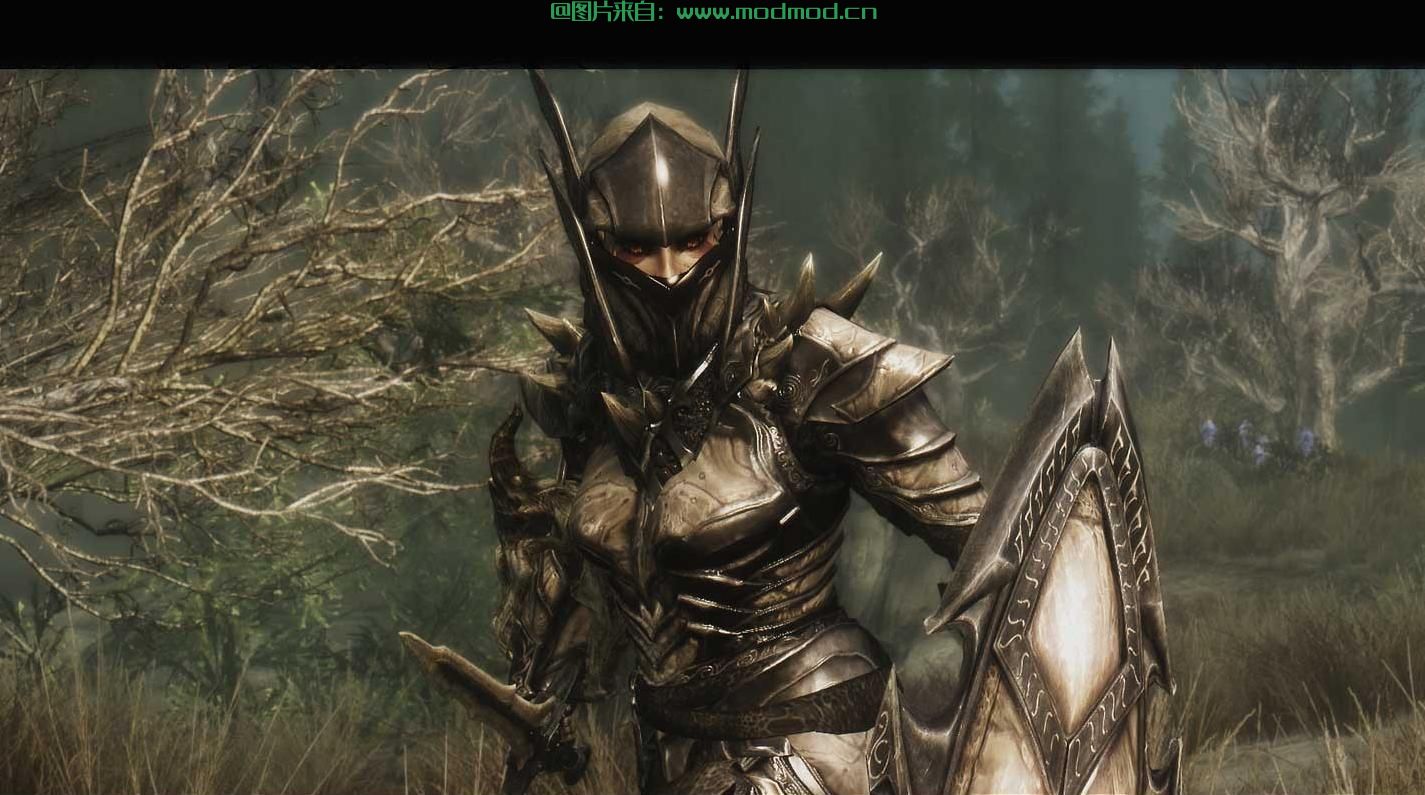 汉化Dragon Knight Armor