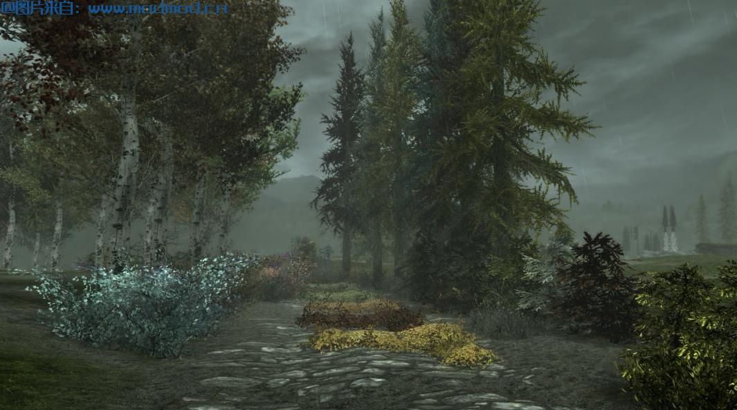 更多五颜六色的树SE