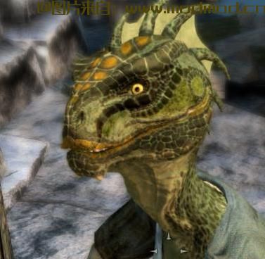 RGONIA鳍-香草替代品