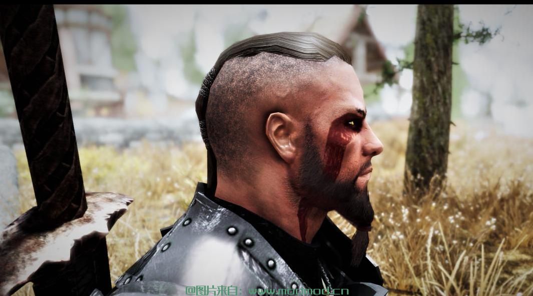 上古卷轴5：重置版MOD 没有Pussy Nord Racemenu预设
