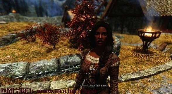 来分享关系对话大修  更新2.0 Relationship Dialogue Overhaul - RDO 下载资源！