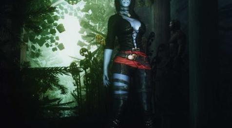 上古卷轴5：天际MOD 【汉化】皮衣Scarlet Dawn Armor