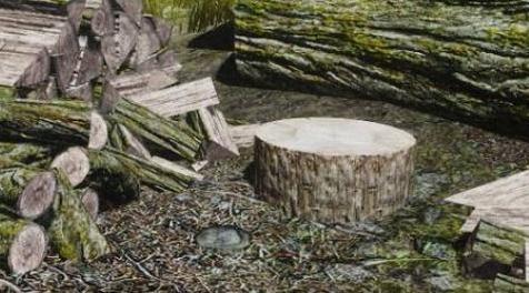 上古卷轴5：天际MOD 实用的mod？？NON STOPFirewood Chopping 不停砍柴（N网搬运）