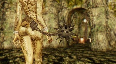 上古卷轴5：天际MOD 亚龙人的动态战尾！5种选择！V1.0