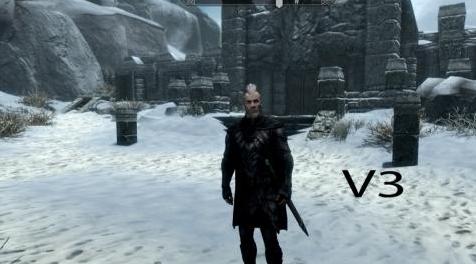 上古卷轴5：重置版MOD 冬季