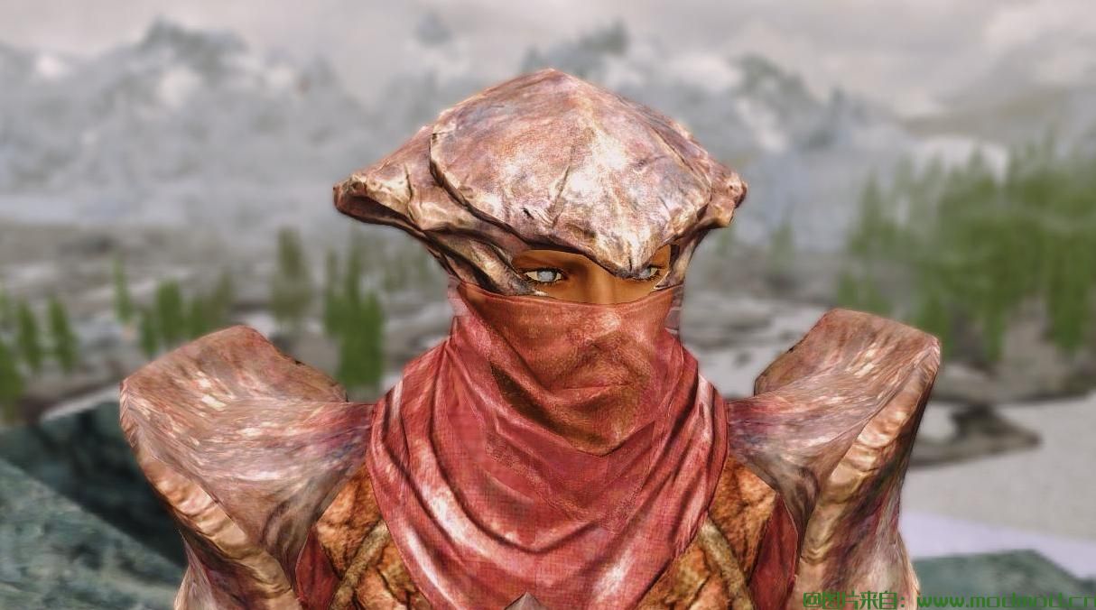 上古卷轴5：重置版MOD 打开更多改进的Closefaced头盔 -  Dragonborn DLC