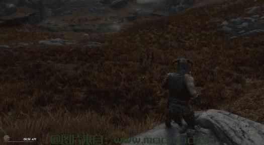 没有树 - 删除所有天际之树 -  SSE