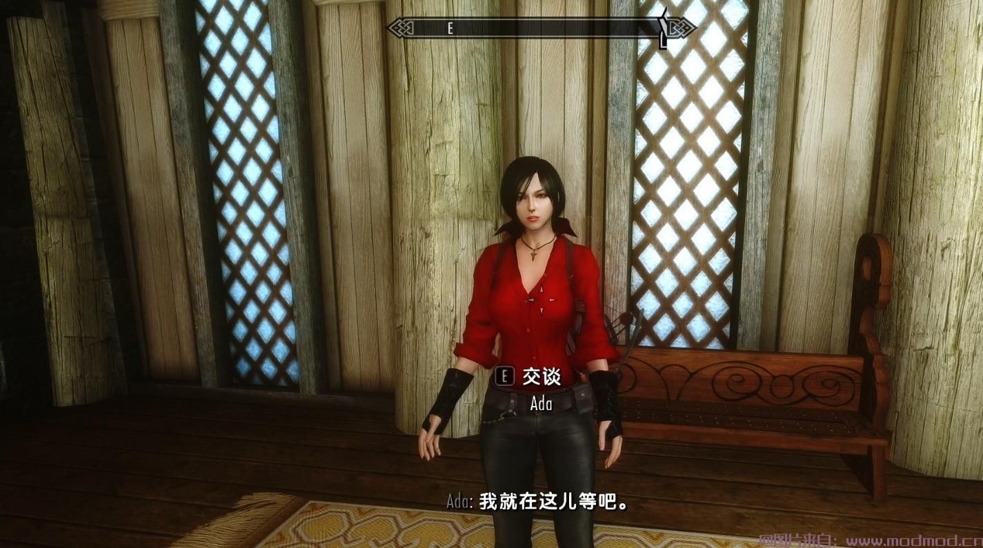 上古卷轴5：天际MOD 【独立随从】【Sen系列第二发】既然像艾达&middot;王，就叫Ada
