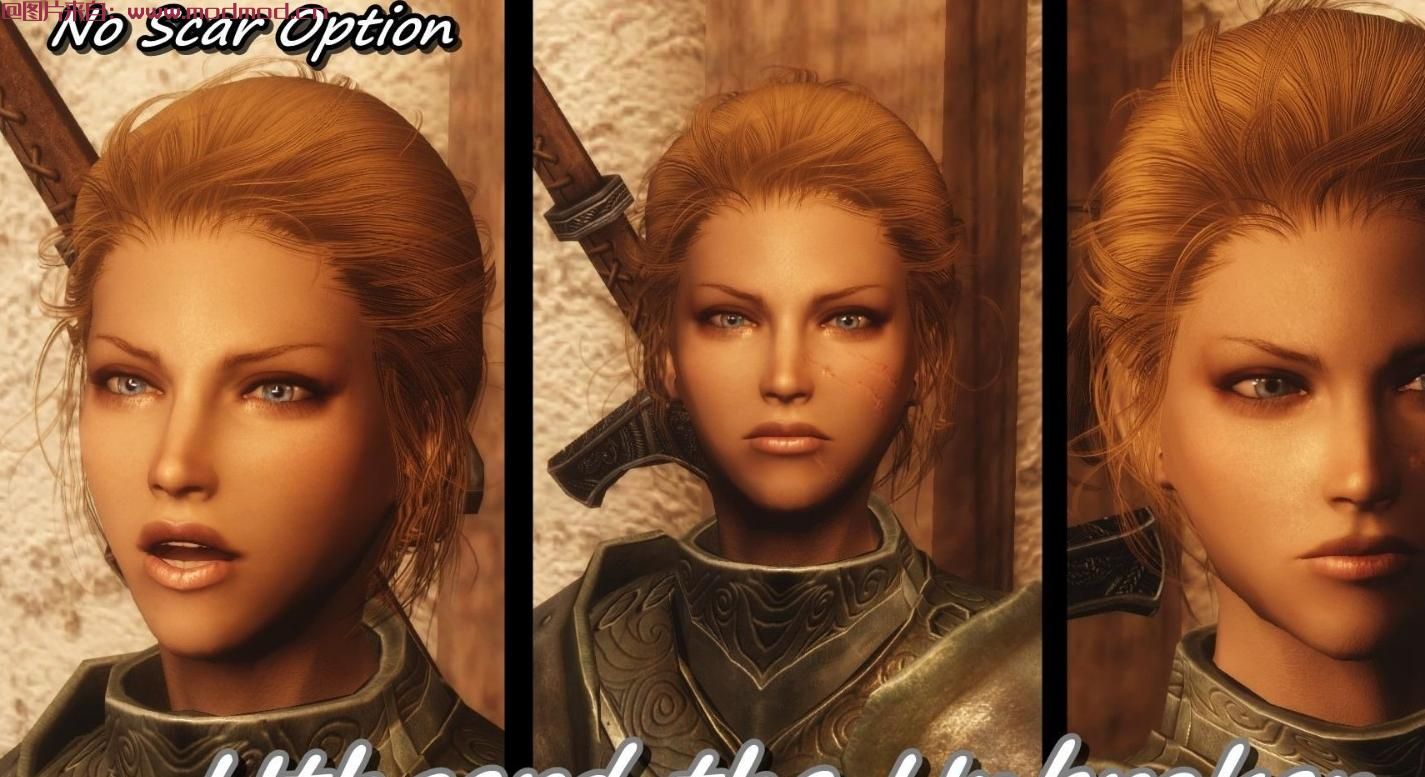 哪里有Skyrim Beautiful Followers - SBF最强原版随从美化V2.1汉化版百度网盘地址!