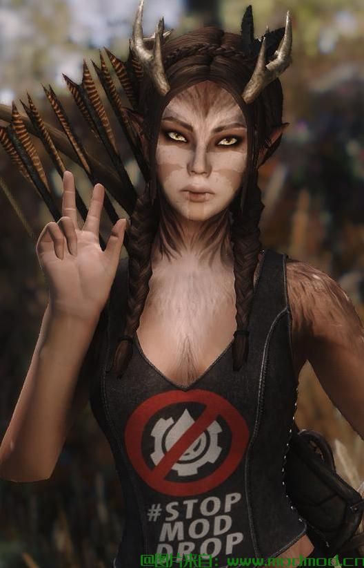 上古卷轴5：重置版MOD Mese独立女性随从和教练员