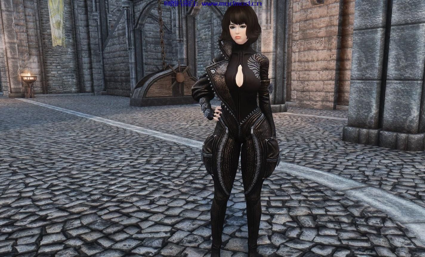 剑灵 黑虎&白龙 