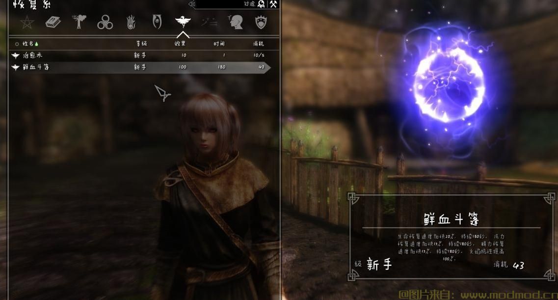 上古卷轴5：天际MOD 血族的福音-鲜血斗篷