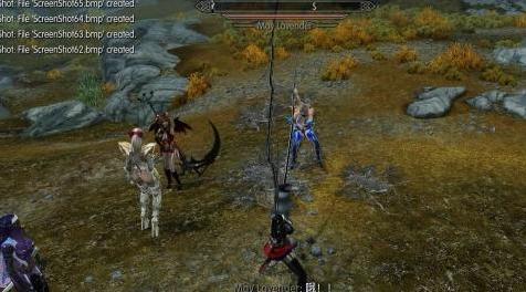 上古卷轴5：天际MOD 你们要的鞭子，皮鞭