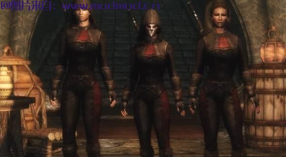 上古卷轴5：天际MOD 【汉化】盔甲A Perfect Assasin