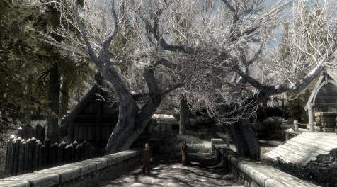 上古卷轴5：重置版MOD JK的Skyrim和沼泽地补丁