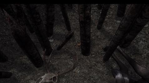 上古卷轴5：重置版MOD 没有尖峰伤害SE