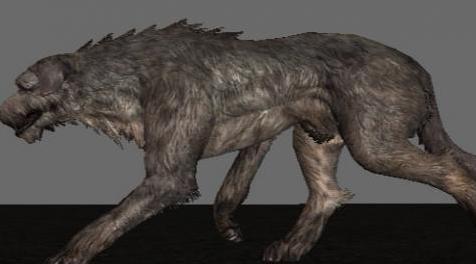 上古卷轴5：重置版MOD 荣誉猎犬