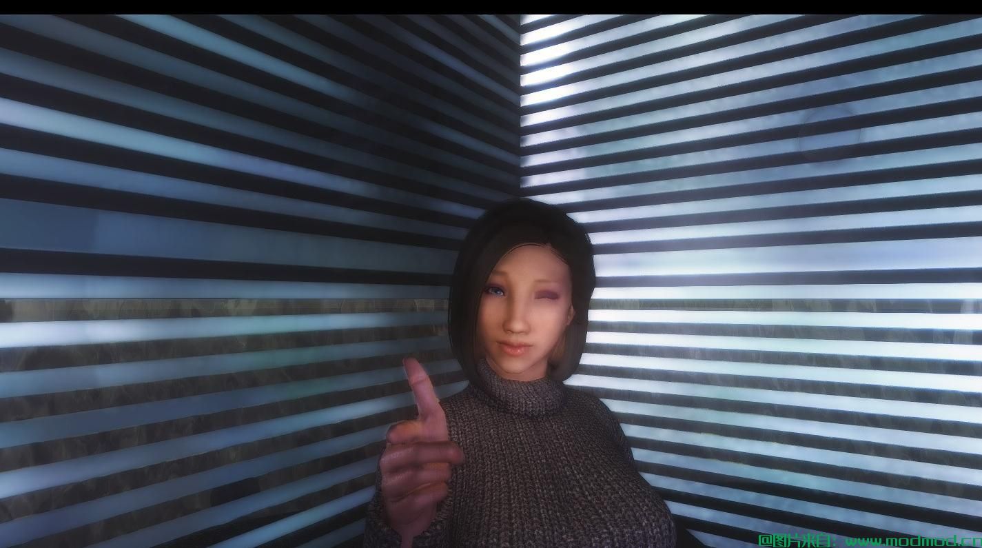 上古卷轴5：天际MOD Facial Expressions Project (F.E.P) 表情控制（主要功能已汉化）