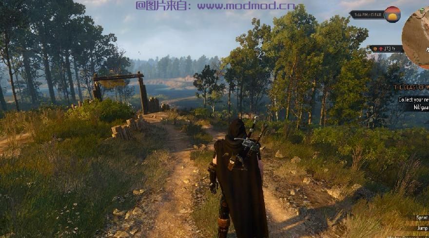 巫师3：狂猎MOD TW3 WildHunt_ReShade（画面预设）