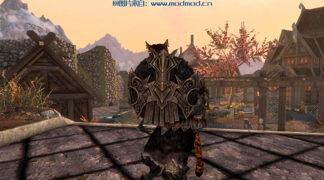 变暗的Nordic盾牌