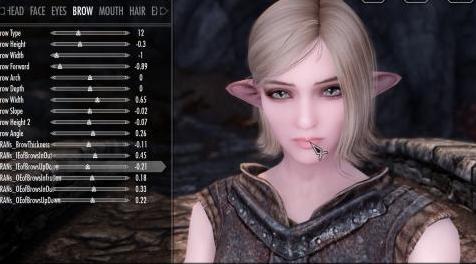 上古卷轴5：重置版MOD RaceEenu的ECEE滑块