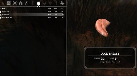 上古卷轴5：重置版MOD 鸭和天鹅的现实需求（USSEP）