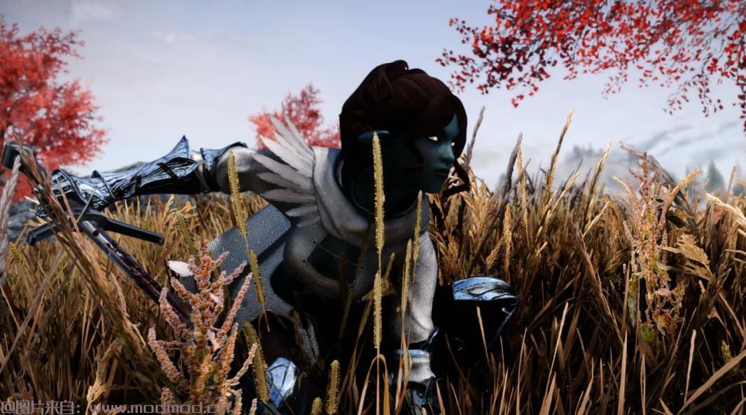 索菲亚玩家角色预设