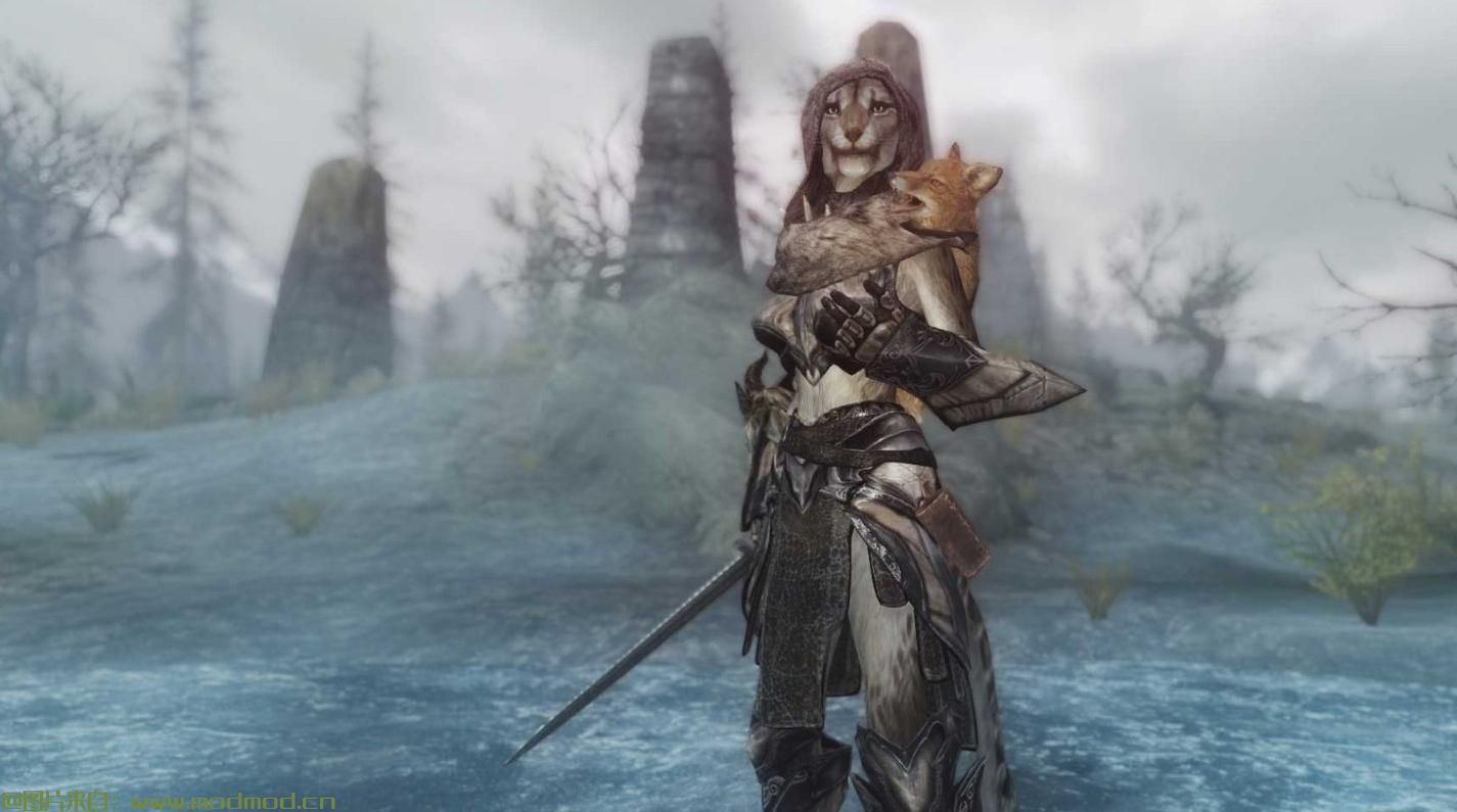 汉化Dragon Knight Armor