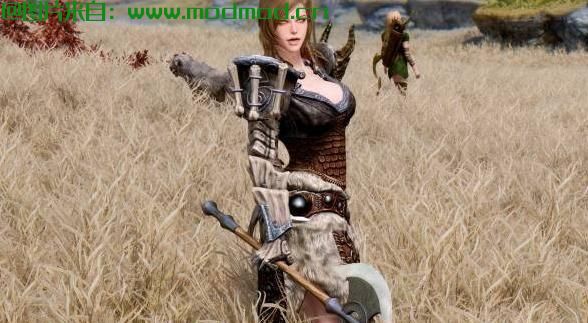 上古卷轴5：天际MOD 汉化MOD  神秘生物的随从狂战士 桑亚