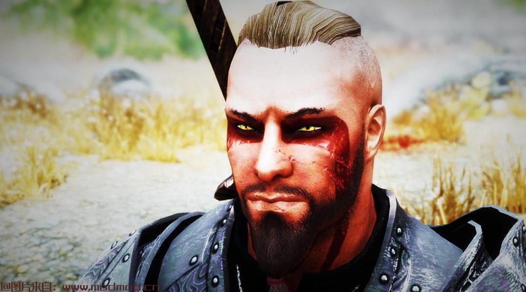 上古卷轴5：重置版MOD 没有Pussy Nord Racemenu预设