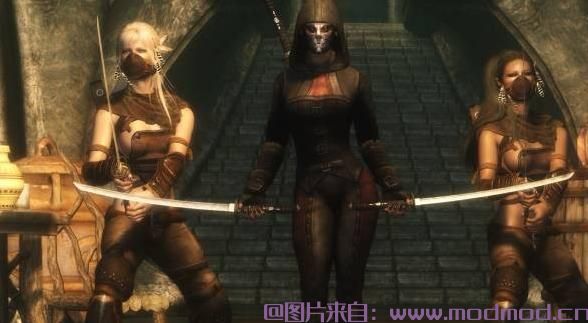 上古卷轴5：天际MOD 【汉化】盔甲A Perfect Assasin
