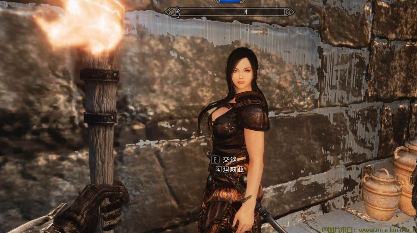 上古卷轴5：天际MOD 貌美音软的日语语音人妻随从阿玛莉亚
