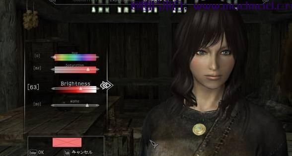 上古卷轴5：天际MOD 【汉化】Enhanced Character Edit 1.3 最终汉化版