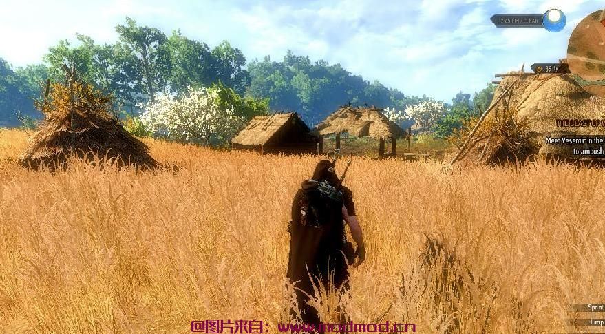 巫师3：狂猎MOD TW3 WildHunt_ReShade（画面预设）