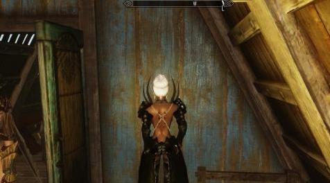上古卷轴5：天际MOD 【黑龙公主】unpb tbbp版，应求转，经典R环套