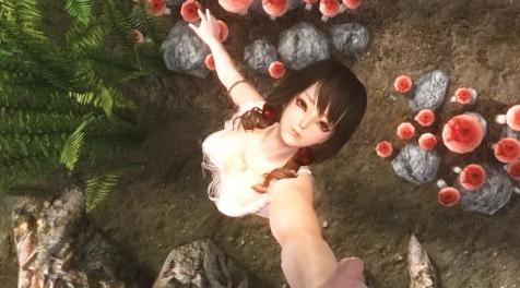 上古卷轴5：天际MOD 动作包2【3J】