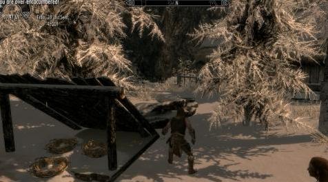 上古卷轴5：重置版MOD 你是一个过度负担的特别版